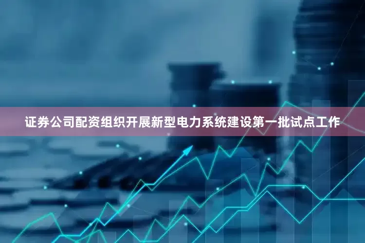 证券公司配资组织开展新型电力系统建设第一批试点工作