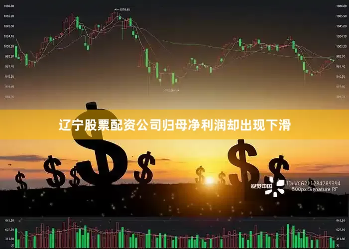 辽宁股票配资公司归母净利润却出现下滑
